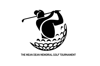 design professional sports, tournament, hockey, baseball logo