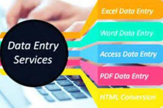 do web research, excel, and quick, accurate data entry