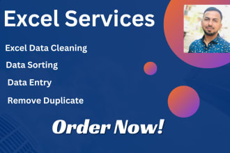 do excel data cleaning and formatting, and data entry