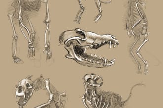 draw digital animal skeleton concept art illustrations