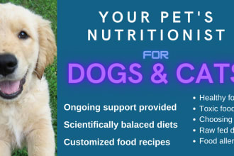 be the nutritionist of your pet and provide nutrition plans