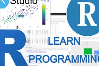 help in data analysis, r programming,  and visualization