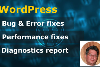 fix wordpress errors, wordpress issues, or wordpress bugs