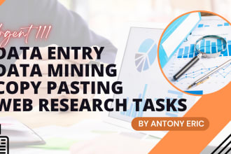do data entry, data mining and web research tasks