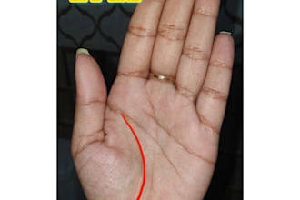 do palm readings and provide you authentic  readings