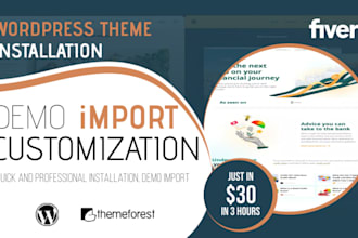 professionally install, import demos, and customize wordpress themes