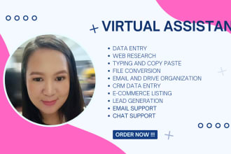 be your virtual assistant for data entry, customer support and admin tasks