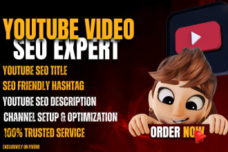 best youtube video SEO expert optimization