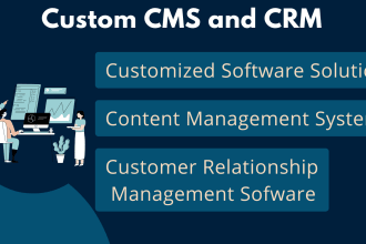 make custom cms and CRM softwares