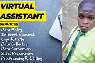 do any virtual assistant, proofreading, data entry and internet research job
