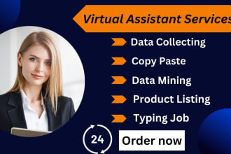 be your virtual assistant for data collecting, and product listing