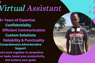 perfect virtual assistance pro data entry