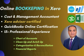 xero online bookkeeping error fixing reconciliation reports