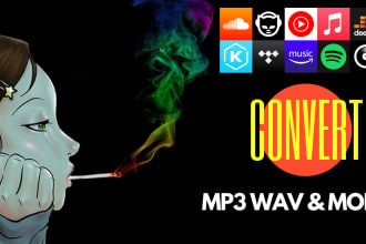 convert online music playlists to mp3 and wav