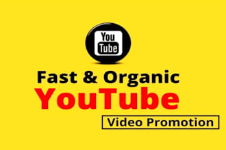 do video SEO, you tube channel growth manager