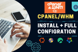 do the full setup of whm, cpanel setup, dns setup, fix issue