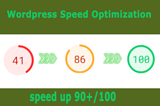 speed up elementor, divi, woocommerce, wordpress for google page speed, gtmetrix