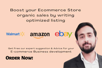 write amazon, walmart, ebay product listing optimization