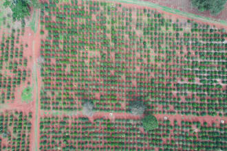 make prescription maps from drone images