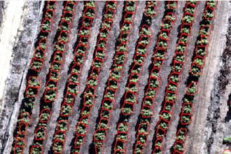 perform individual tree crown delineation from lidar