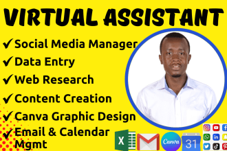 be your personal administrative virtual assistant and social media manager