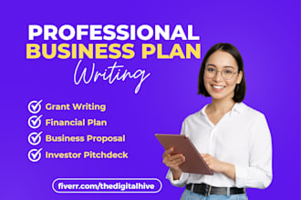 write investor ready business plan, business plan for startups, loan approval