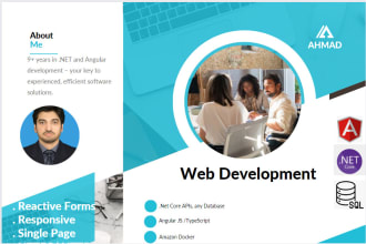 fix, develop and deploy your asp and net core, angular projects