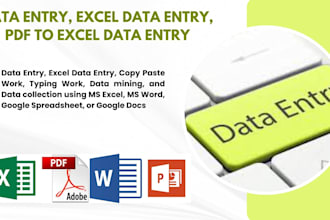 do data entry, excel data entry, PDF to excel data entry