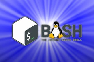 write custom bash shell scripts for linux