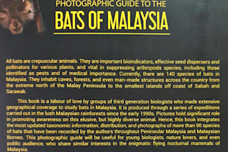 create content for brochure and blurb