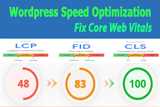 fix cls, lcp, core web vitals issues or speed up wordpress for google page speed