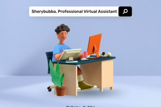be virtual assistant, VA, shopify ecommerce customer support service