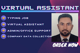 do virtual assistant of data entry, company data and typing