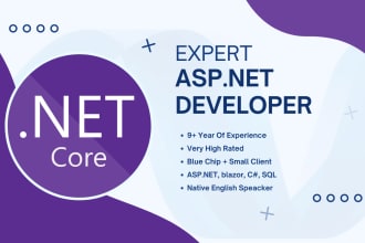 develop an asp dot net core or blazor webapp with angular js