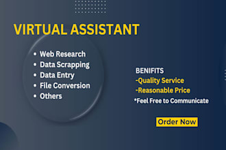 do web research, scraping and administrative tasks as VA