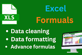 do excel basic and advance formulas with data cleaning