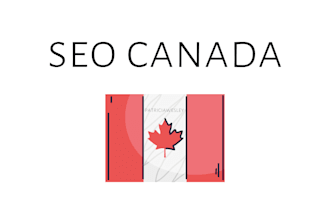 manage seo services in canada for local business websites