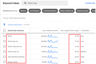 setup and manage google ads PPC