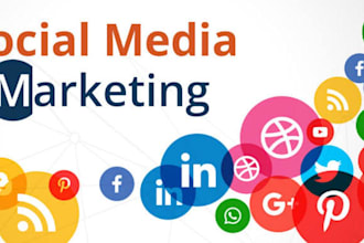 be your social media marketing manager and content creator