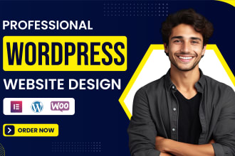design or develop complete wordpress website for your business