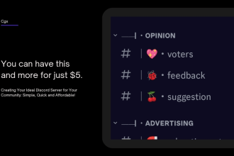setup a discord server