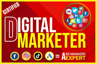 pro digital marketing manager for fb insta tiktok meta ads