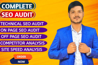 provide a professional SEO audit report and a competitive website analysis
