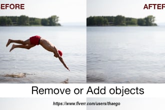 add or remove an object from your photo