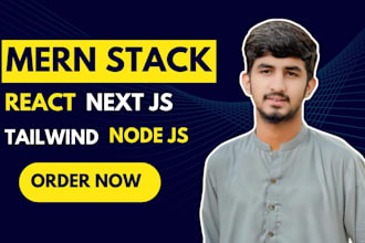 develop mern stack web app backend and frontend