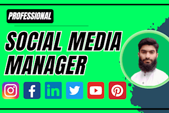 be your social media marketing manager, organic promotion, SMM