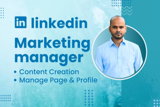 be your linkedin manager and content creator