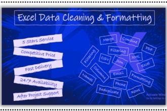 do data cleaning , editing and sorting and formatting work