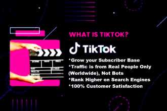 do social media manager tiktok video marketing google ads SEO