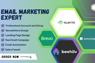 do klaviyo email template, beehiiv newsletter design, brevo newsletter, omnisend